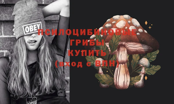 эйфоретик Магас