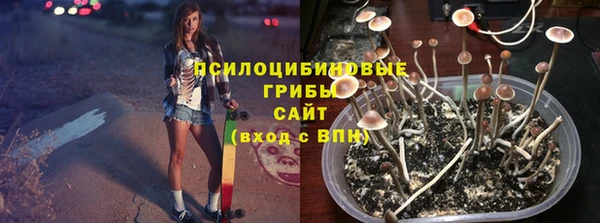 стафф Майский