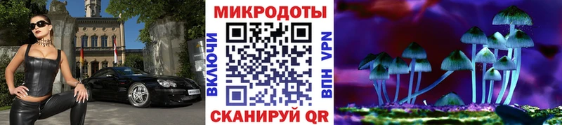 Купить закладки  Алексин  Псилоцибиновые грибы GOLDEN TEACHER 